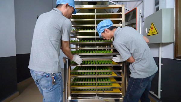 Descubra la experiencia de WS Silicon – Su socio de confianza para silicona personalizada